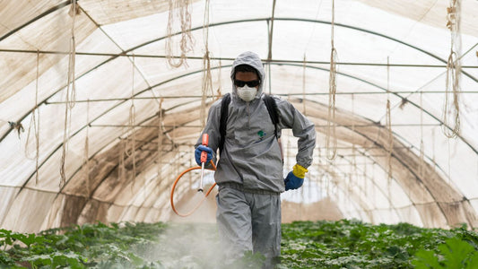 Pesticide Remediation SOP (Myclobutanil Focus)